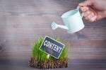 content marketing success